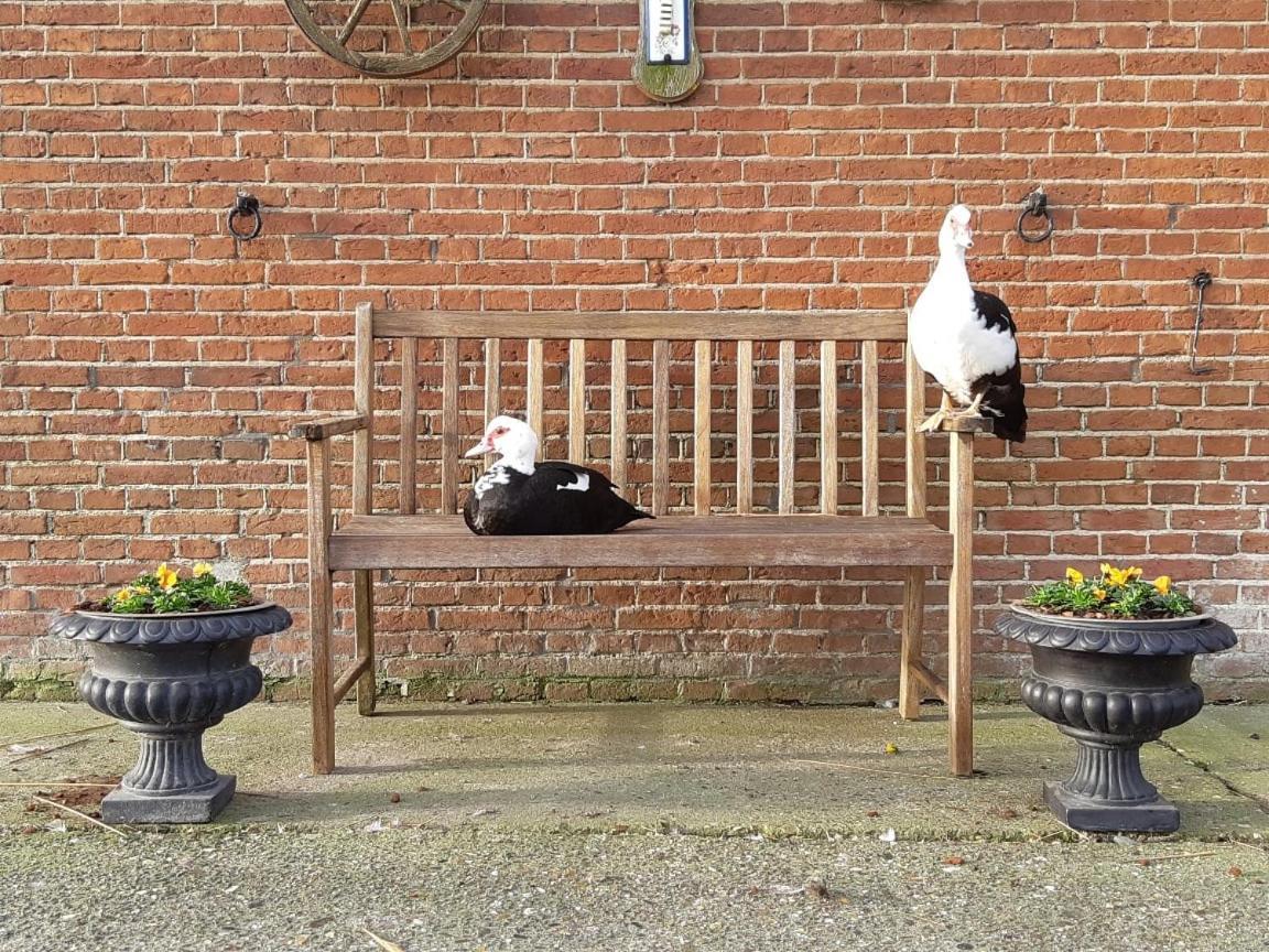 Villa Wol Thus Paesens Esterno foto