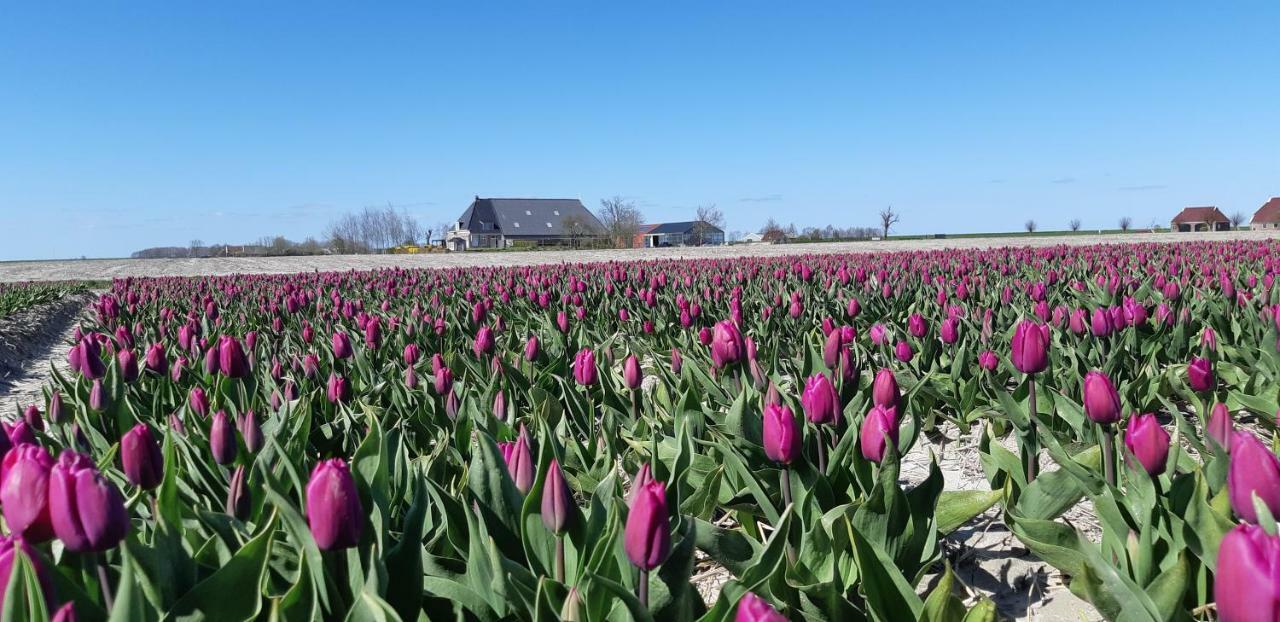 Villa Wol Thus Paesens Esterno foto
